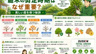 庭木剪定の最適な時期は？プロが教える失敗しないお手入れ法